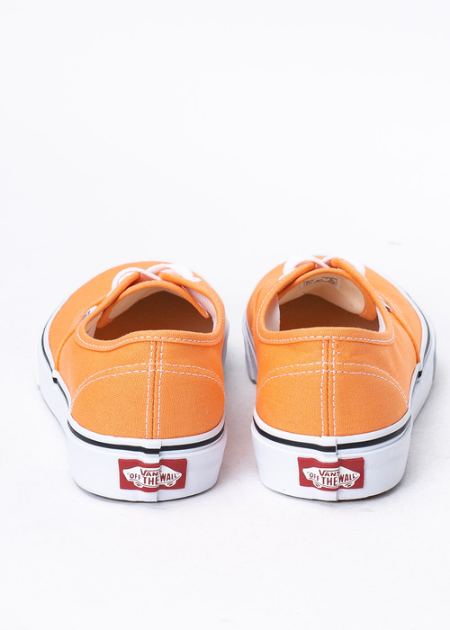 Vans Authentic (VN0A5HZS9GC1)