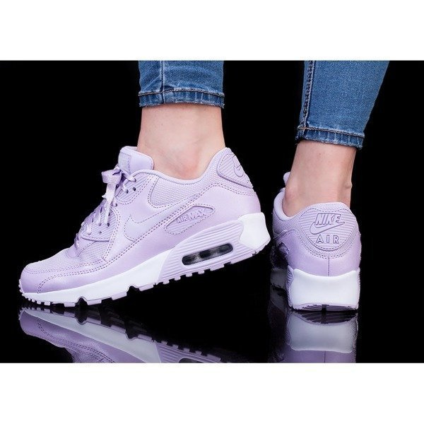 Nike Air Max 90 SE Mesh (880305-500)