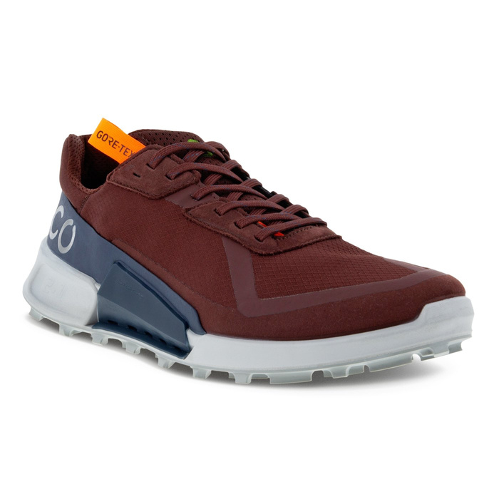 Ecco BIOM 2.1 X CTRY M LOW GTX