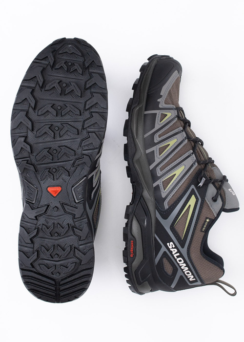 SALOMON X ULTRA PIONEER GTX 