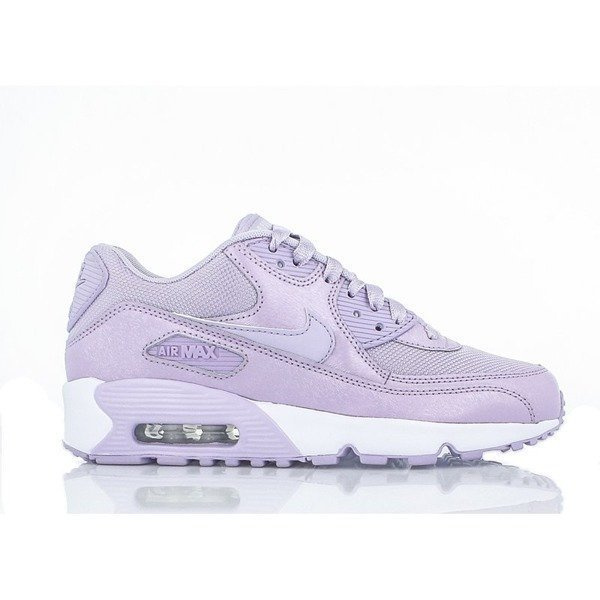 Nike Air Max 90 SE Mesh (880305-500)