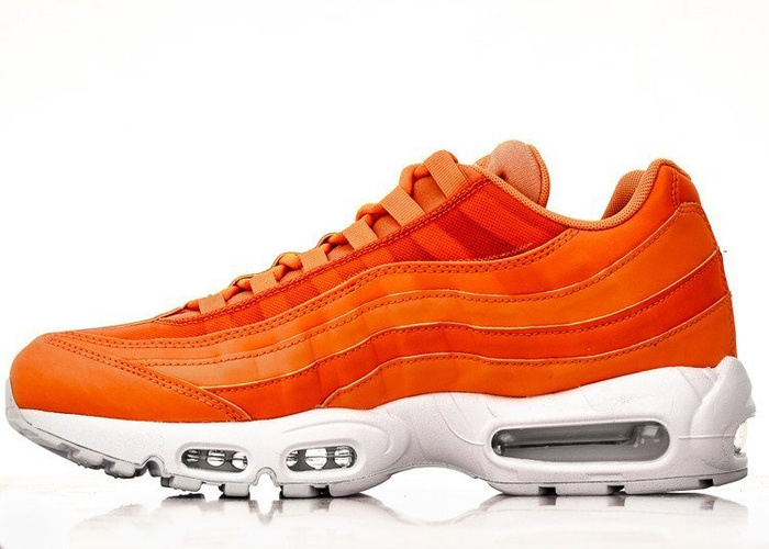 Nike Air Max 95 SE (AV6246-800)