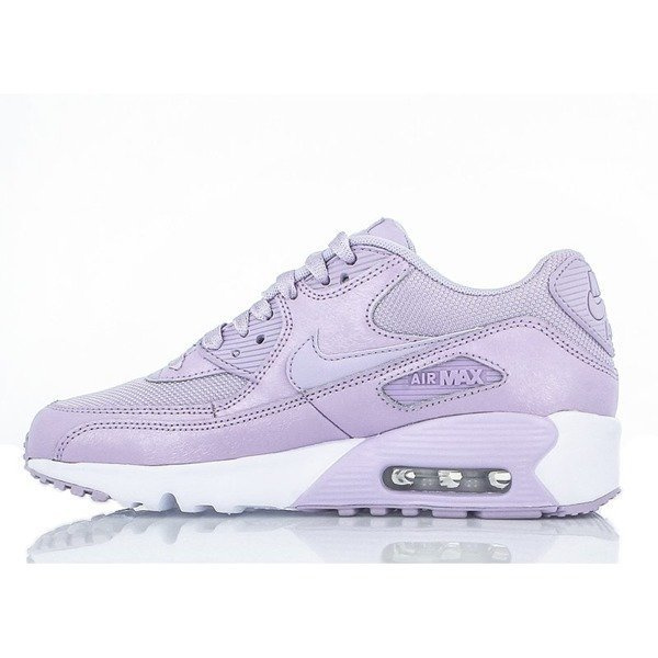 Nike Air Max 90 SE Mesh (880305-500)