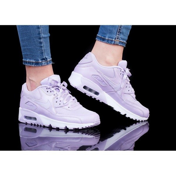 Nike Air Max 90 SE Mesh (880305-500)