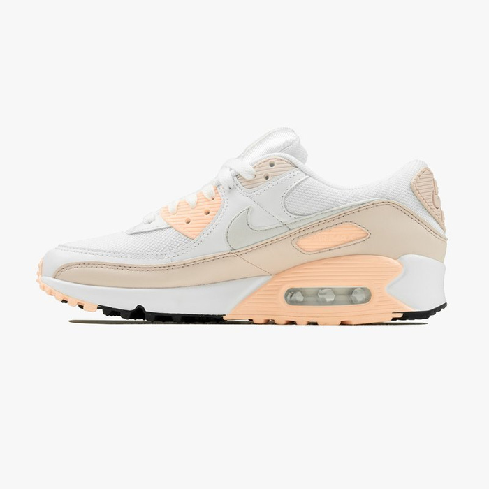 Nike Air Max 90 (CT1030-101)