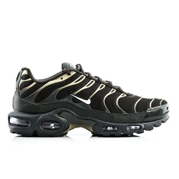 Nike Air Max Plus (852630-301)