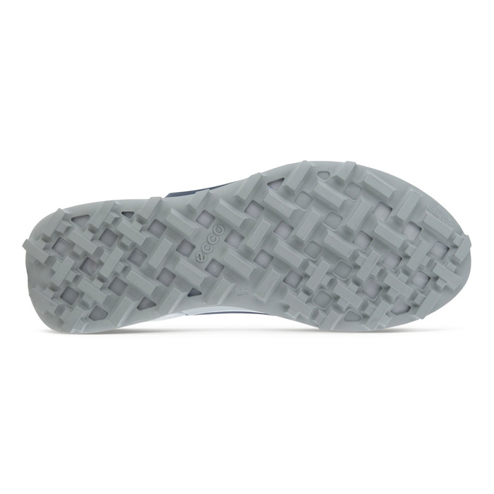 Ecco BIOM 2.1 X CTRY M LOW GTX