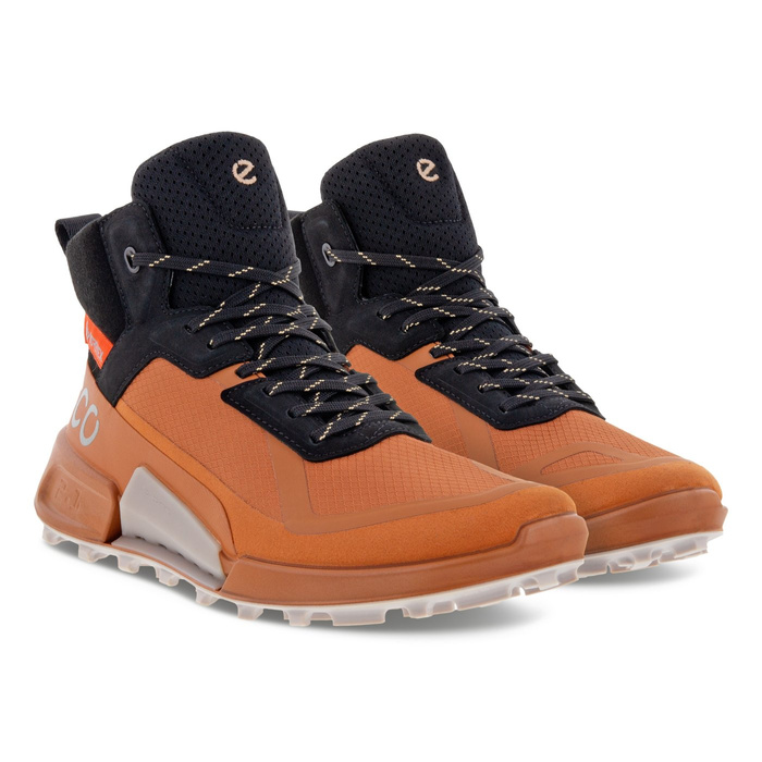 Ecco BIOM 2.1 X MTN W MID GTX