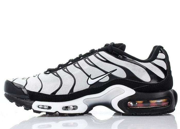 Nike Air Max Plus (852630-032)