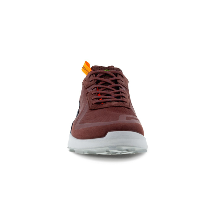 Ecco BIOM 2.1 X CTRY M LOW GTX
