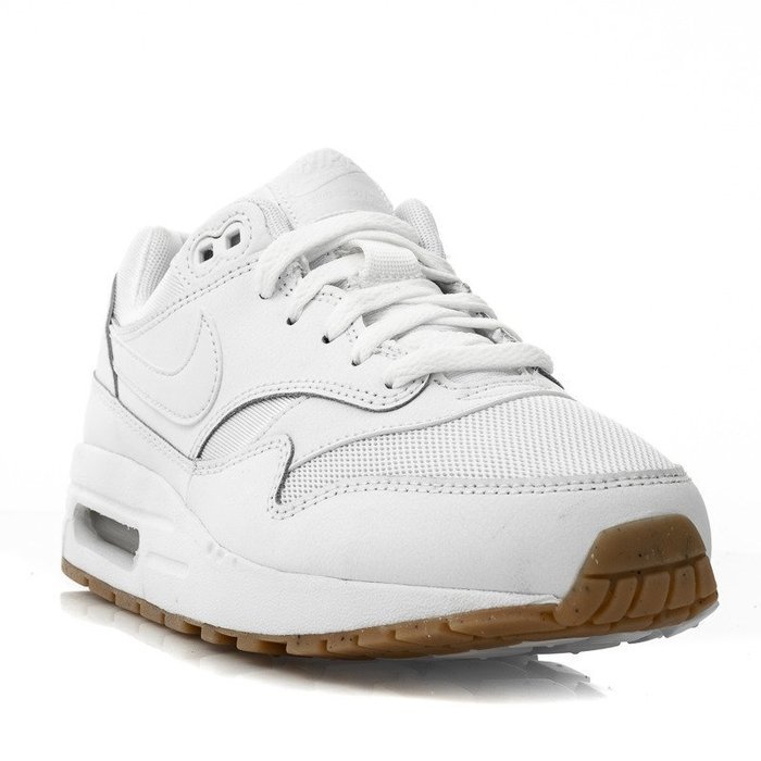 Nike Air Max 1 GS (807602-113)