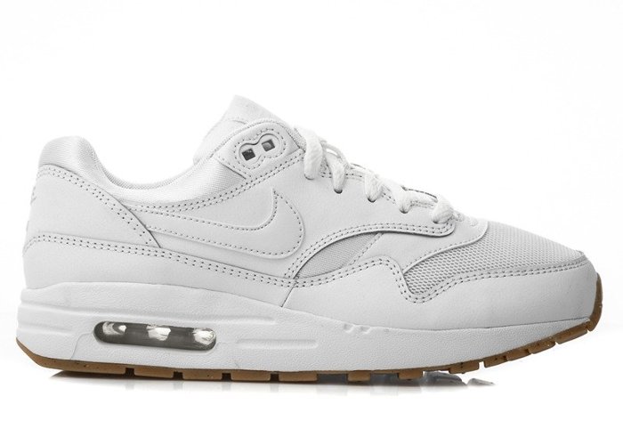 Nike Air Max 1 GS (807602-113)